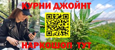 гидра Новодвинск