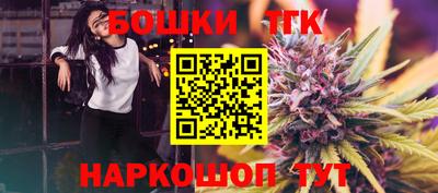 гидра Новодвинск