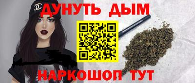 гидра Новодвинск