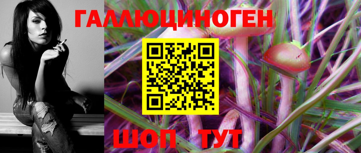 Галлюциногенные грибы мицелий  Галлюциногенные грибы Psilocybe  Трёхгорный  закладки  Вход с VPN 